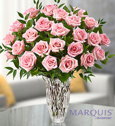 Marquis by Waterford <BR> Premium Pink Roses Davis Floral Clayton Indiana from Davis Floral